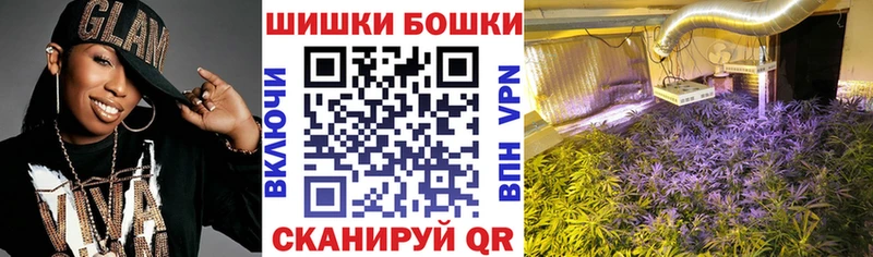 Бошки марихуана Amnesia  купить наркоту  Донецк 